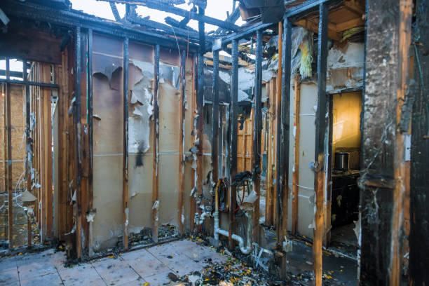Professional Fire Damage Repair technician working in Todd Creek, CO